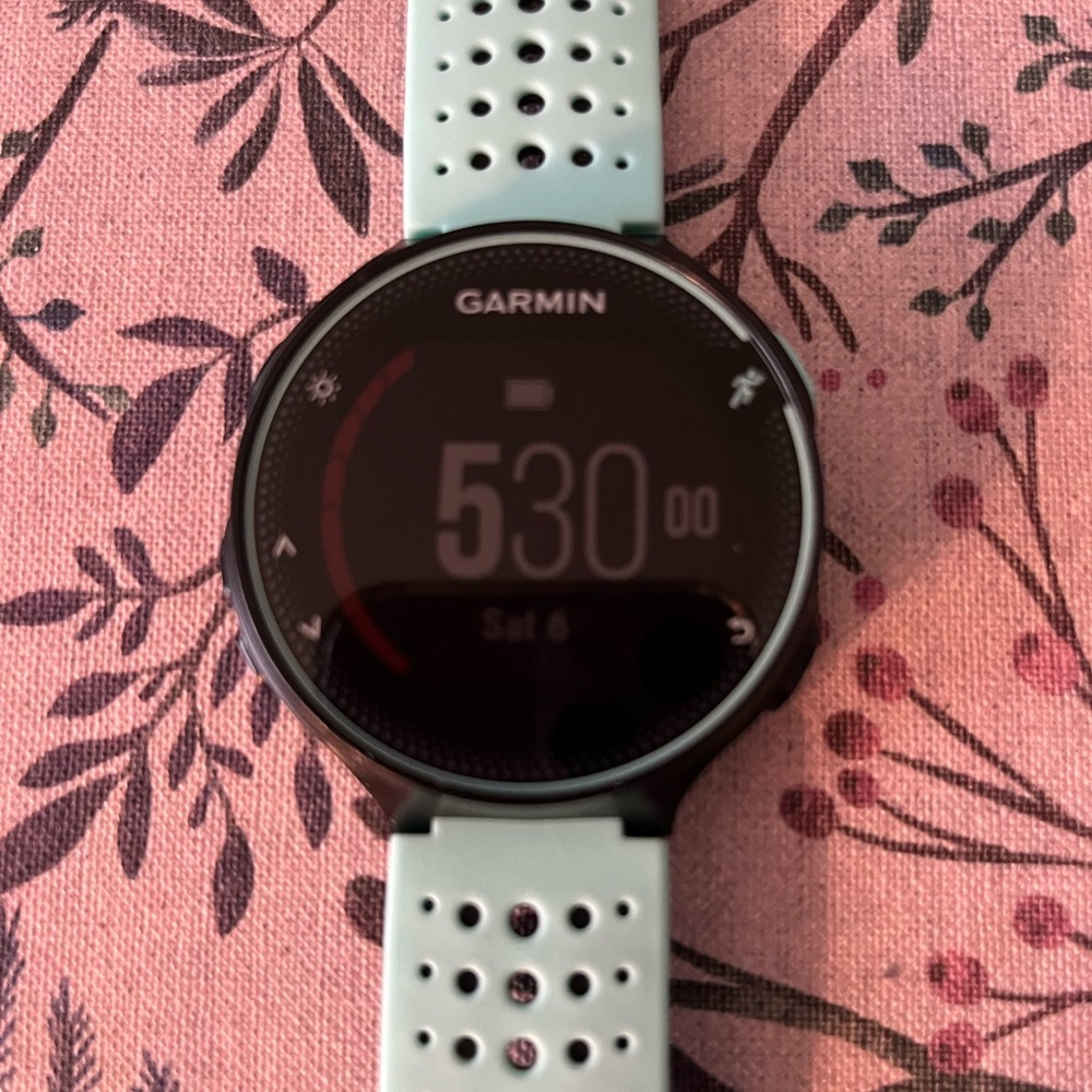 Garmin Forerunner 245 GPS Running Smartwatch